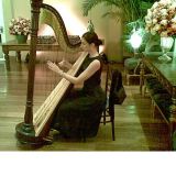 O Som Da Harpa Sinfonica No Seu Casamento