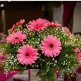Dyferencial Eventos- Foto, Filmagem e Decoração