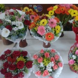 Floricultura alcântara