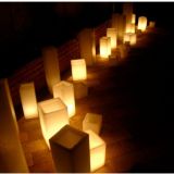 Atelier Fiora Velas