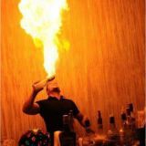 Uppbartenders Performance