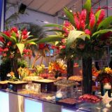Aguape decoração flores