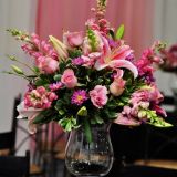 Festa Encantada-Decoração e Fotografia