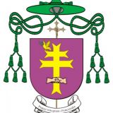Padre Casamento Batizado Bodas