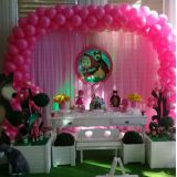 Showfest e Cia - Decoração Infantil e Eventos