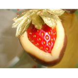 Gastronomia Castellani