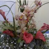 Crys Flores Artes Florais
