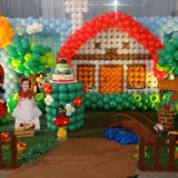 Decora de festas infantis