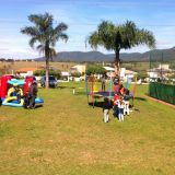 lf Festas e Eventos
