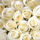 Espaço Bianco Eventos