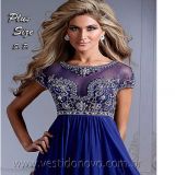 Vestido Plus Size, Mãe do Noivo Bodas de Prata
