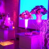 Espaço Beija-Flor Festas e Eventos