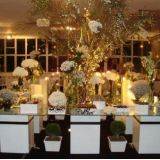 Graciosas Buffet