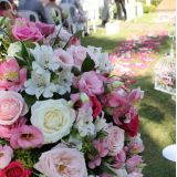 Sapeka Decoraçoes Casamento