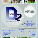 Flash d2