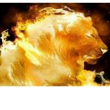 Lion S&E Segurança e Recepção