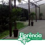 Locação de Plantas e Vasos para eventos