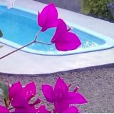 Limpeza de piscinas em Criciúma