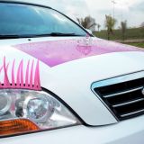 Limousine Rosa Salvador - Promoção Dia de Princesa