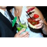 Barman Rio Preto (Sonique Bartenders)