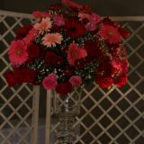 Art In´ Decorar