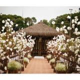 Pura art eventos