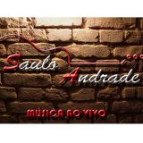 Música ao Vivo e Sonorização para Festas, Eventos
