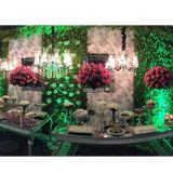 Iluminação Cênica/Decorativa para Eventos