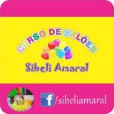 Sibeli Amaral - Curso de Arte em Balões