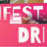 Drifest- Compre Direto da empresa Regina Festas