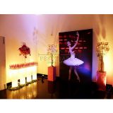 Decoração Festa de 15 anos