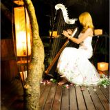 Cely Rodrigues Música Com Harpa
