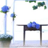 Skb Decor - Design de eventos