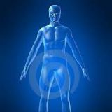 Consciência Consultoria em Voz e Corpo