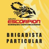 Grupo Escorpion