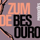 zum de besouro produções culturais
