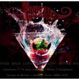 Mr. Mustache Cocktails (Serviço de Barman)