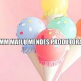 MM Mallu Mendes Produtora de Eventos