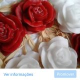 Pelecheirosa arts