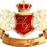 Divino Luxo Agência de eventos