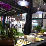 Tâmaras Eventos e Comercio Eirele