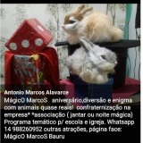 animaçao festa bauru