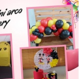 Mni Arco de Balões Delivery
