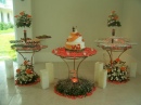 Celia Festas
