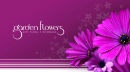 Garden Flowers - Arte Floral e Decoração