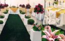 Rosa Eventos Locação De Peças E Objetos Para Festa