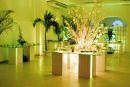 Pro-Eventos do Brasil