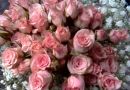 Selétas Arte Floral e Eventos