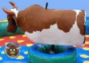Pinguinho Brinquedos