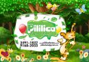 Pililica Festas e Eventos